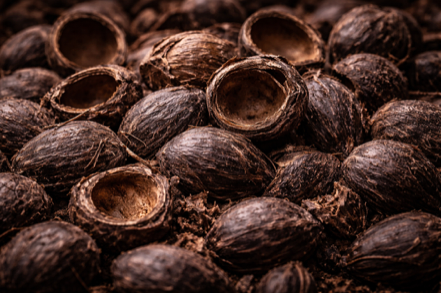 Palm kernel shells, the feedstock used by Charburn Energy